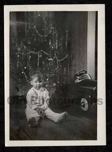 Camera oscura albero natale - camera,